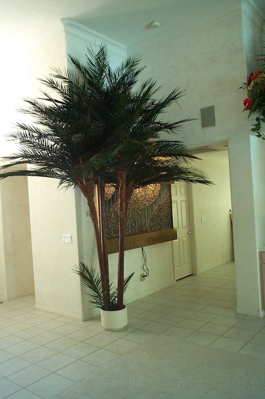 image of a Caribbean palm tree inside a building